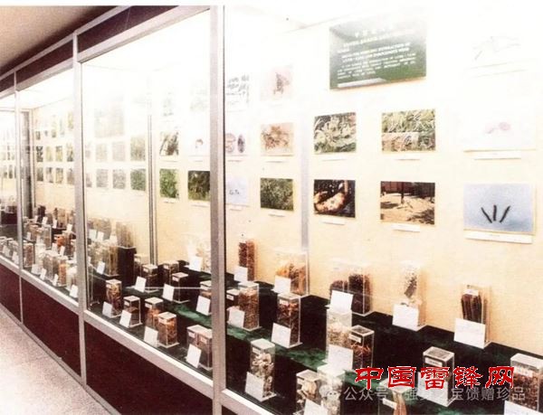 10035718345907975_5.jpg 10035718345907975_5.jpg